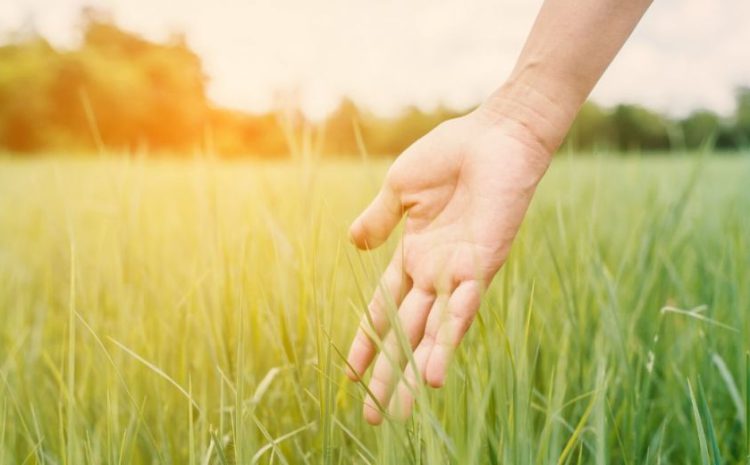  5 formas de cuidar la salud mental