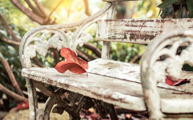  Pautas para sobrellevar el suicidio de un familiar